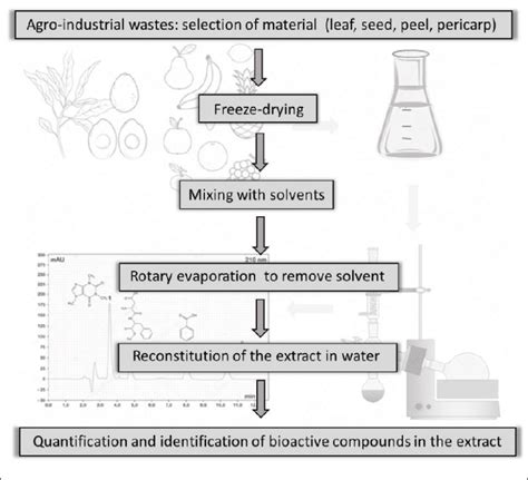 -A general scheme of the extraction method to obtain a bioactive ...