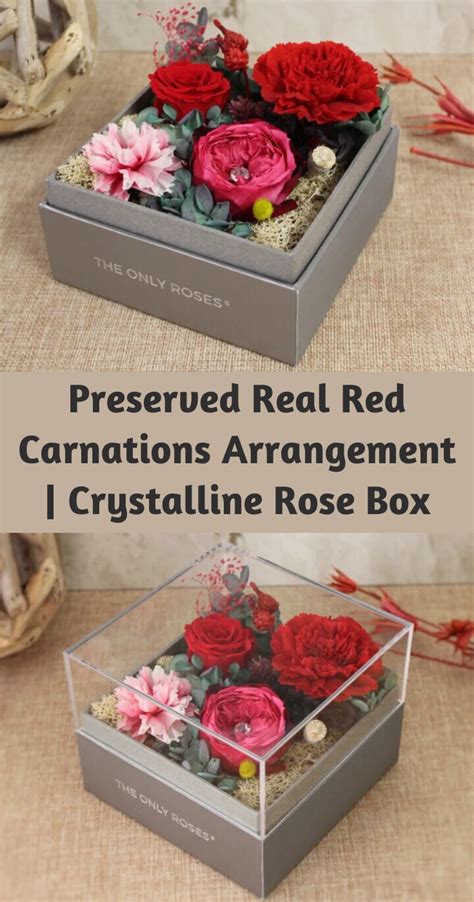 Preserved Real Red Carnations Arrangement in Square Shadow Box | Red carnation, Carnations, How ...