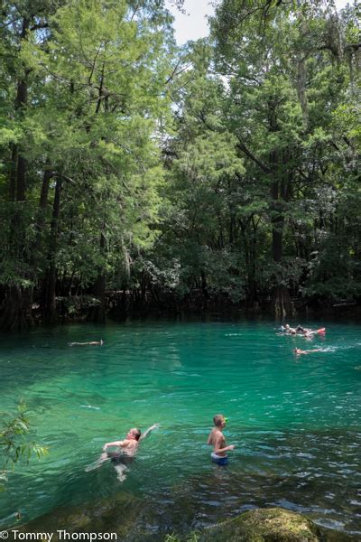 Swim, Snorkel, SCUBA, Paddle, Camp, Play at Florida's Manatee Springs State Park - Visit Natural ...