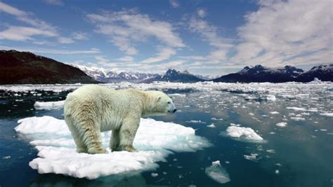 Calentamiento Global: Causas y consecuencias