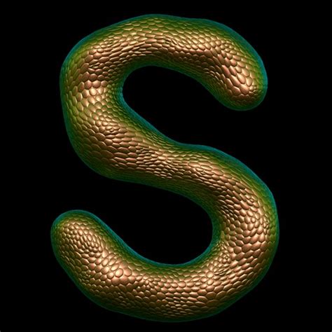 bronze-snake-font-letter-s-595x595.png — Are.na