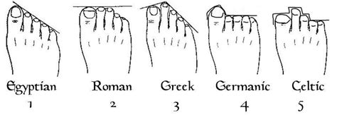 Foot shapes | Genealogy, Told you so, Greek feet