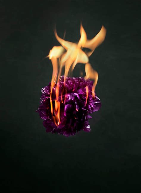 Fire Flowers on Behance