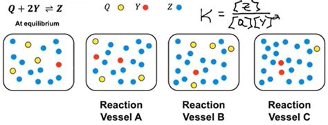 AP Chemistry Unit 7.8 Representations of Equilibrium