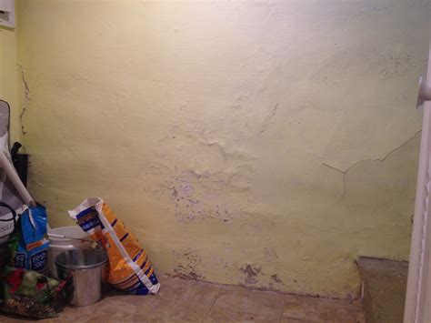 Should I do something about these cracks in the basement wall? - Home Improvement Stack Exchange