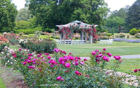 A Quick Visit to Norfolk Botanical Garden - Miss Smarty Plants