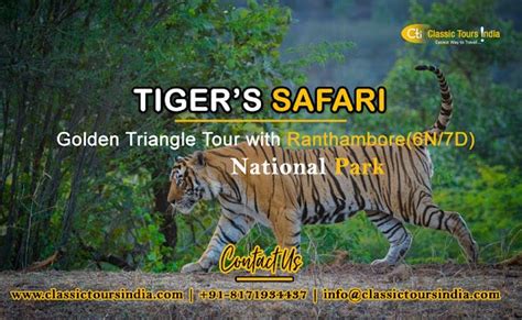 How to go to the Tiger Safari with Golden Triangle — Ranthambore ...