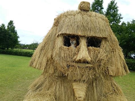 The Giant Straw Sculptures of Japan's Straw Art Festivals