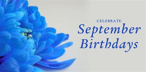 September Birthdays- Asters & Sapphires- Bice's Florist - Bice's Florist