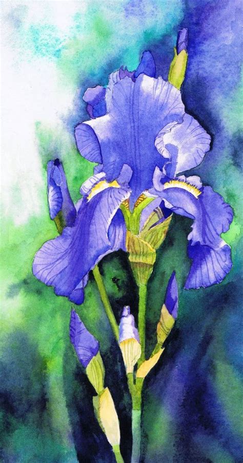 https://www.pinterest.nz/pin/753930793853960315/ | Iris art, Iris ...