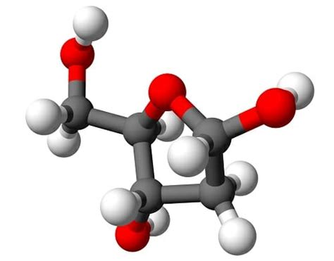 Deoxyribose - Definition and Structure | Biology Dictionary