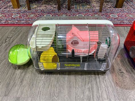 HABITRAIL Dwarf Hamster Cage & Accessories Bundle, Pet Supplies, Homes & Other Pet Accessories ...