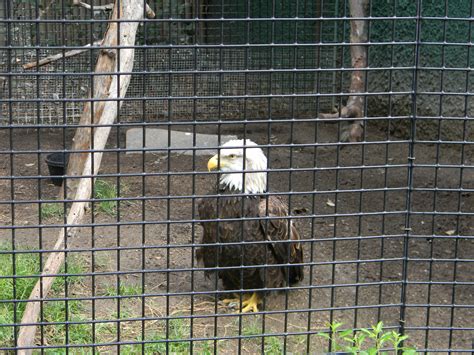 Orange County Zoo – You have got to go here…