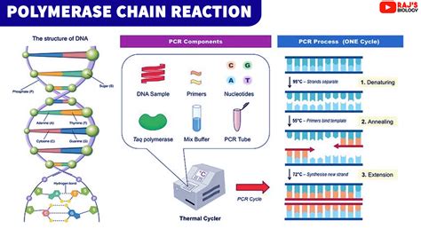 Molecular Techniques