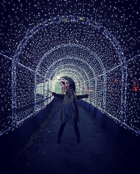 In pictures: Kew Gardens’ incredible Christmas lights are back Kew ...