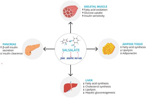 Pleiotropic mechanism of action of salsalate on various organs | Download Scientific Diagram