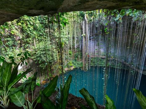 The 15 Best Cenote Tours from Cancun