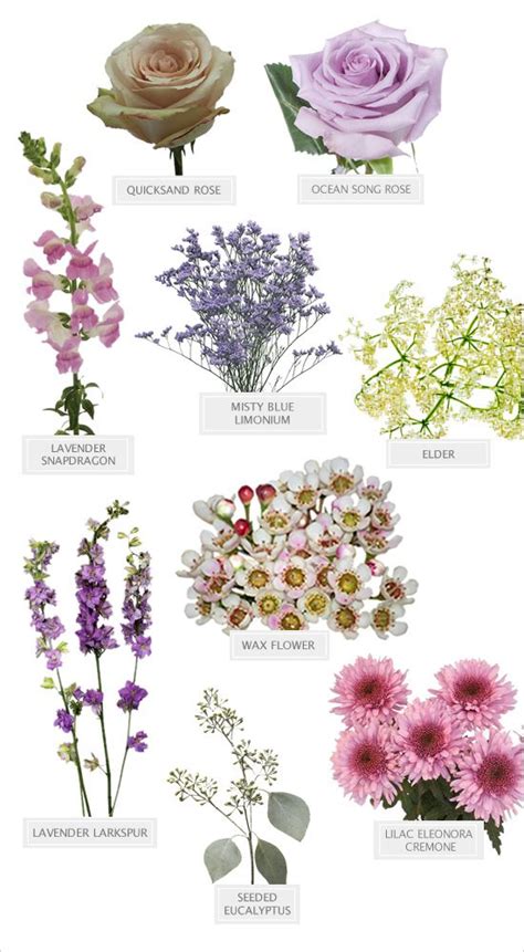 Camilla Clem: Types Of Purple Flowers For Bouquets / Flower names by ...