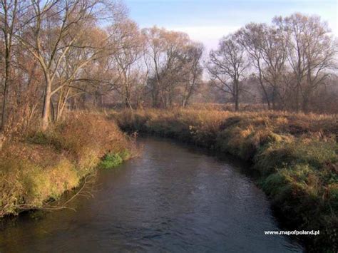 Warta River in Korwinow - Photo 9/16