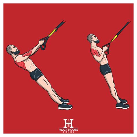 Exercise Tutorial: TRX Row