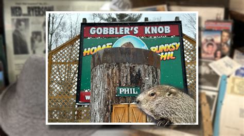 Will Punxsutawney Phil see his shadow? How to watch Groundhog Day 2024 live