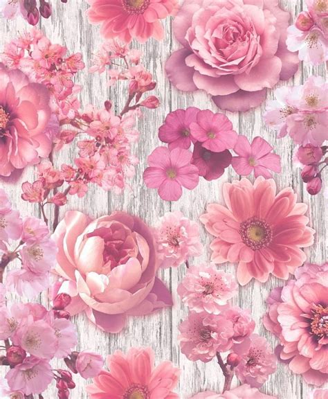Pink Rose Petal Flowers Floral Wood Effect Silver Glitter Gerbera, glitter floral HD phone ...