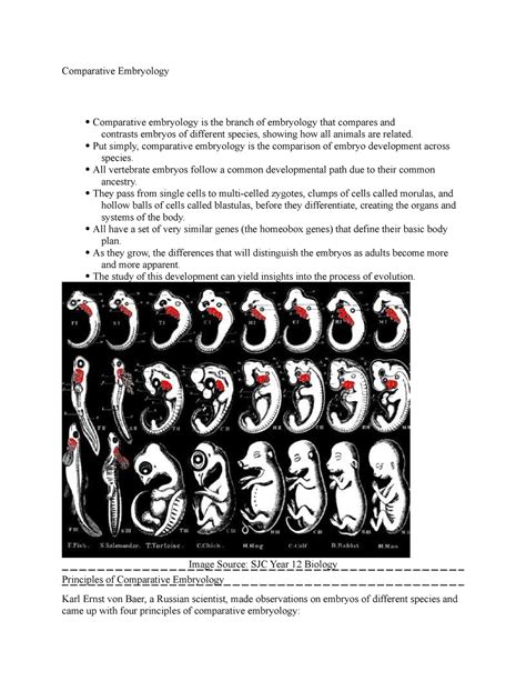 Comparative Embryology - Put simply, comparative embryology is the ...