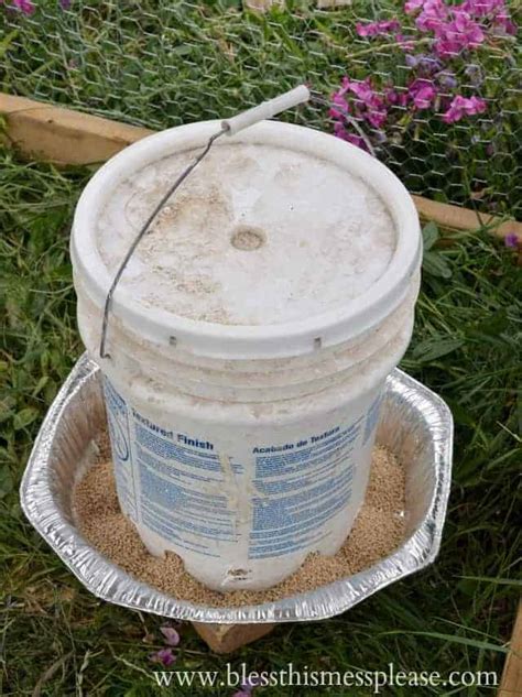 DIY Chicken Waterer and Feeder From 5-Gallon Buckets