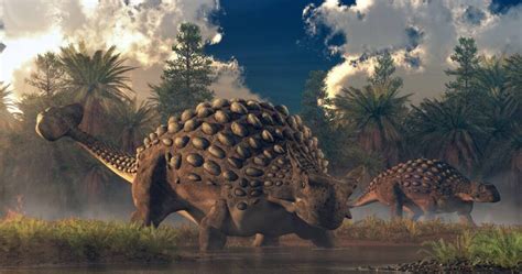 10 Worthy Ankylosaurus Facts & Pictures For Kids