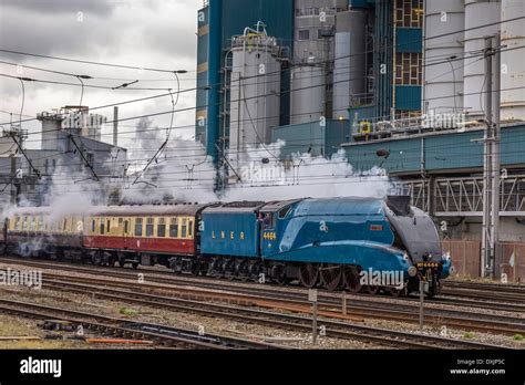 LNER Class A4 4464 Bittern steam locomotive hauls The Cambrian Ranger ...