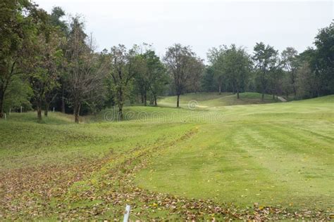 Golf course landscape stock image. Image of tree, beautiful - 145989441