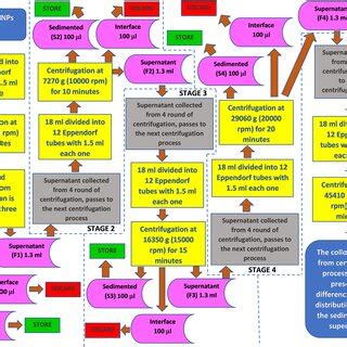 Schematic illustration of the differential centrifugation process ...