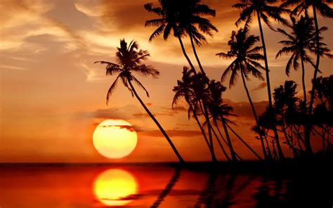 Sunset In Tropical Paradise Mac Wallpaper Download | AllMacWallpaper