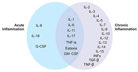 How do Cytokines work in Inflammatory Diseases? - CUSABIO