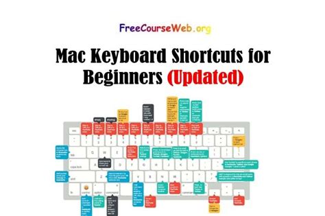 Mac Keyboard Shortcuts For Beginners In 2024