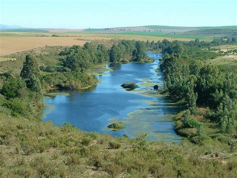 The Breede River near Swellendam, South Africa. South Africa Travel ...