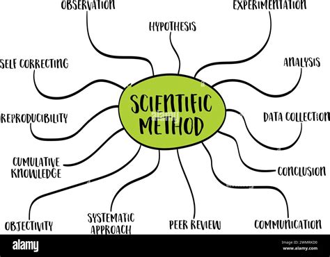 scientific method infographics or mind map sketch, science and research ...