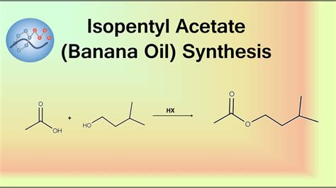 Isopentyl Acetate (Banana Oil) Synthesis Mechanism | Organic Chemistry ...