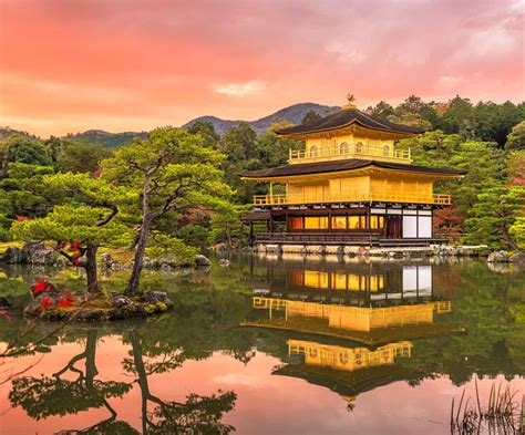 Wooden Jigsaw Puzzles for Adults Temple of the Golden Pavilion, Kyoto ...