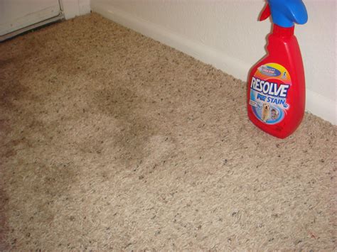 Everyday Rustic: Vinegar and Baking soda tackle the carpet stains