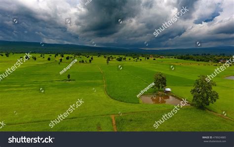 Aerial View Paddy Thailand Stock Photo 478924885 | Shutterstock