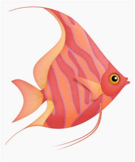 Colorful Tropical Fish Fish Clipart, HD Png Download , Transparent Png ...