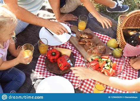 Family Having Picnic in Park on Sunny Day, Stock Image - Image of kids, background: 129845029