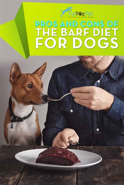 Pros and Cons of the BARF Diet for Dogs – Top Dog Tips