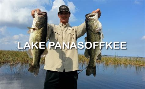 #1 Best Guide To Lake Panasoffkee Florida Fishing Action