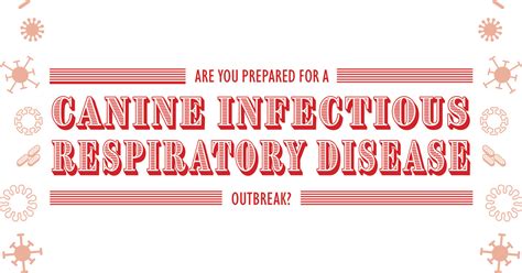 Are Your Prepared for A Canine Infectious Respiratory Disease Outbreak?