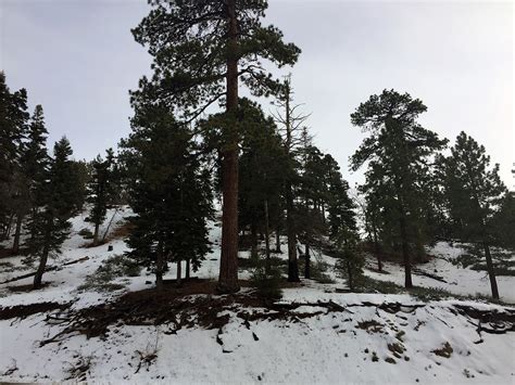 Southern California Green Valley Lake Snow without Crowds