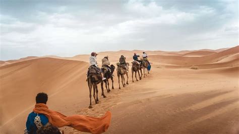 The Best Guide to Camel Trekking in Morocco