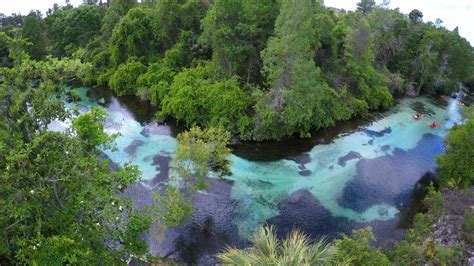 Weeki Wachee River Public Access Changed - NatureCoaster.com