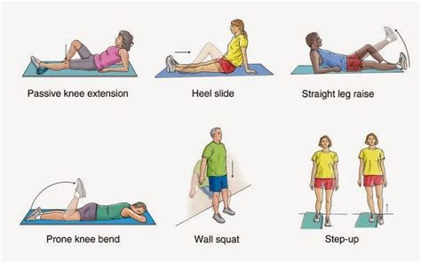 LCL Injury Exercises. Google+ | Straight leg raise, Exercise, Holistic health